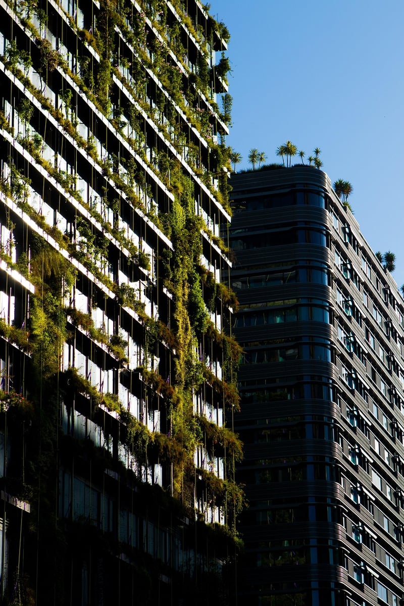 Sustainable Gardening Tips